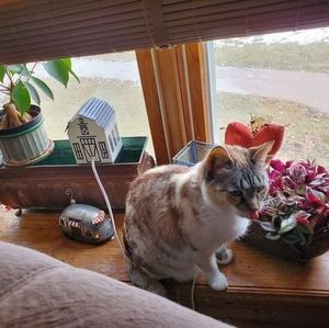 Meet your Posher, Heather